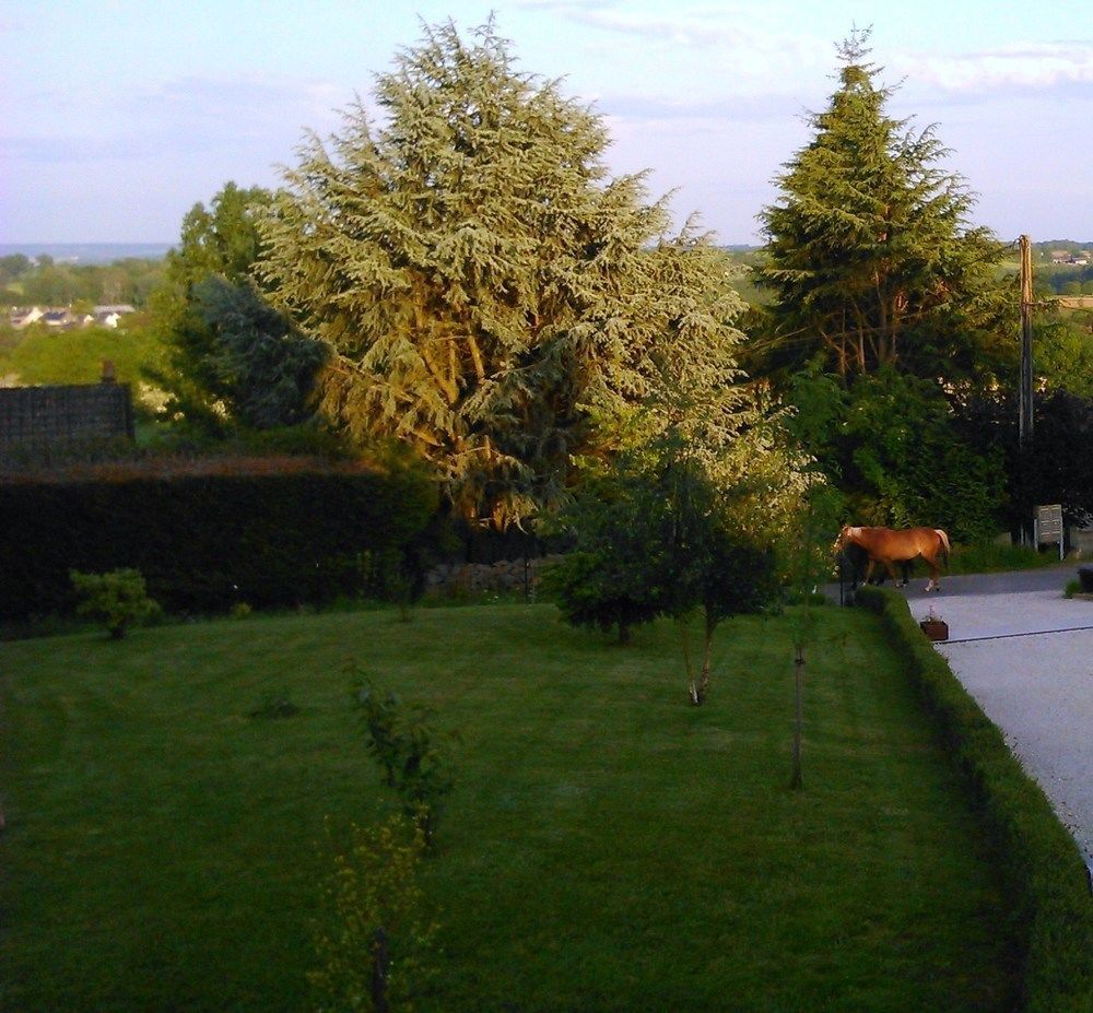 Gite Et Chambres D'Hotes Gandelain Exterior foto